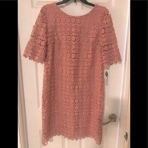 NWT Studio One lace dress.  Size 12. Color is bridal blush